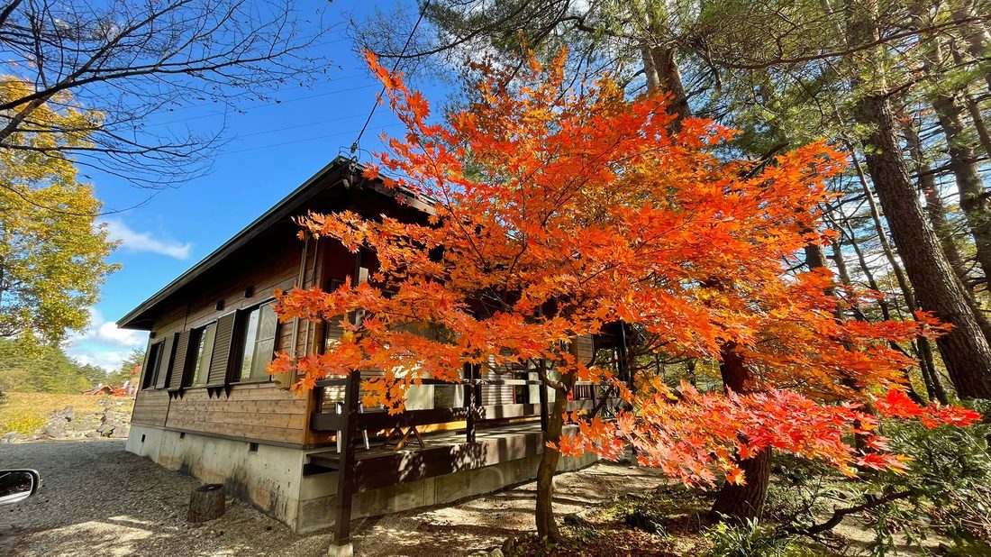 Riverside Cottage in autumn, Hakuba